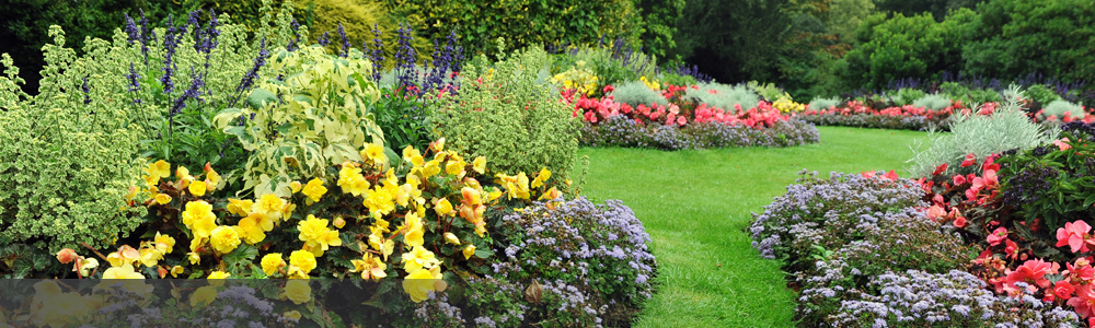 Garden Landscaping