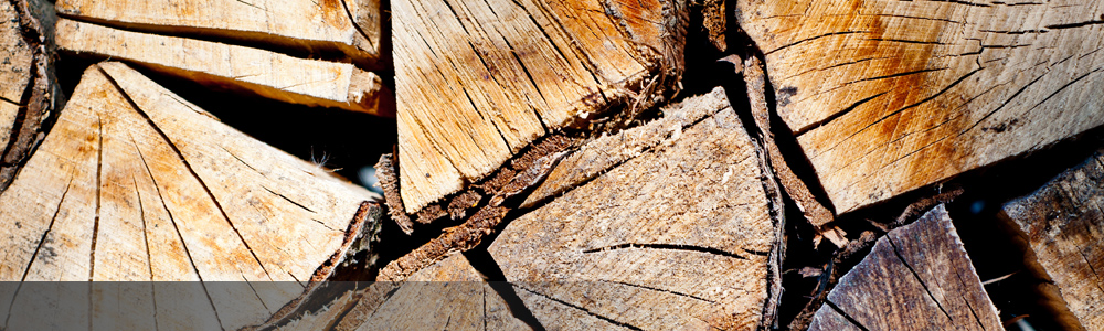 Firewood and Logs For Sale